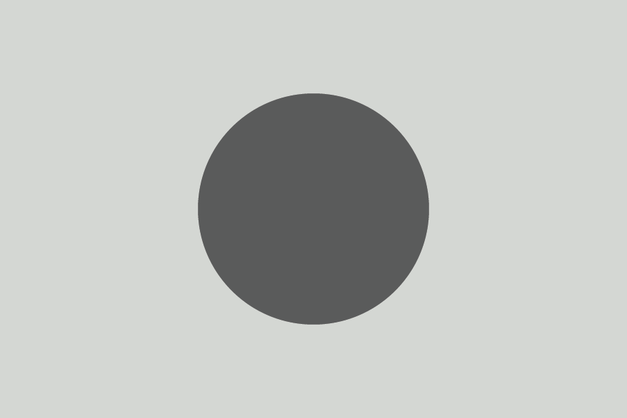 A dark gray circle centered on a light gray background.