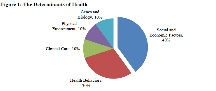 pie chart showing the five determinants of health