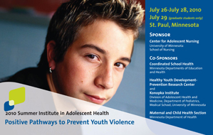 2010 summer institute: positive pathways to prevent youth violence