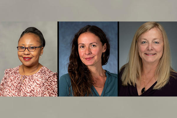 Professor Lucy Mkandawire-Valhmu, Associate Professor Sarah Hoffman and clinical Associate Professor Dorcas Kunkel